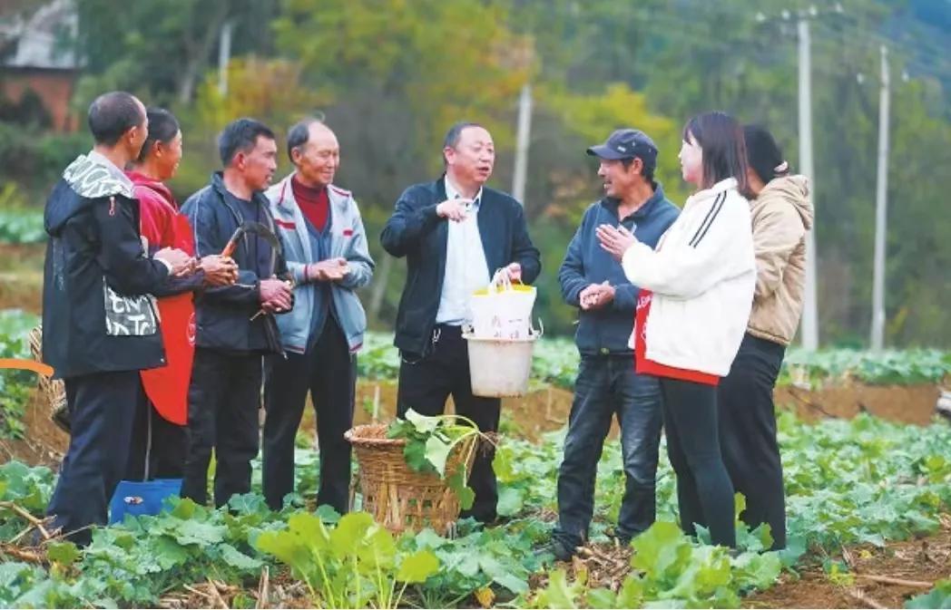 走進(jìn)田間地頭宣傳耕地保護(hù)